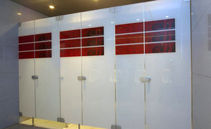 影像彩繪藝術玻璃廁所門