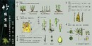 林業試驗所六龜研究中心竹類型態解說牌