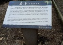 林業試驗所六龜研究中心扇平竹類標本園影像彩繪不鏽鋼板解說牌