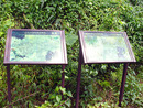 臺南市白和區關子嶺大凍山步道影像彩繪植物解說牌